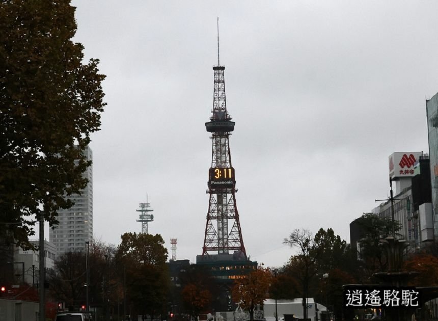 深秋寒雨中的大通公園-日本駱駝