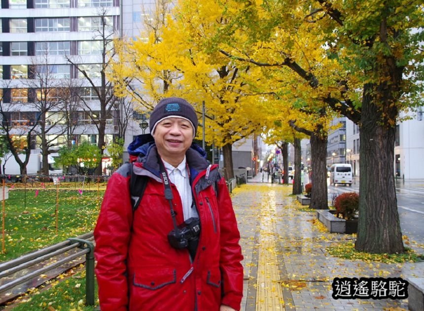 深秋寒雨中的大通公園-日本駱駝