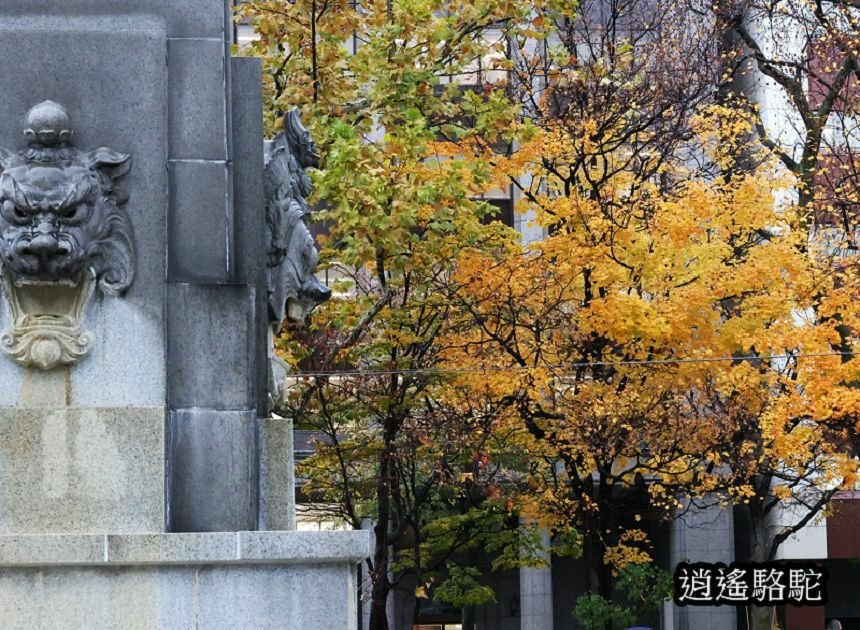 深秋寒雨中的大通公園-日本駱駝