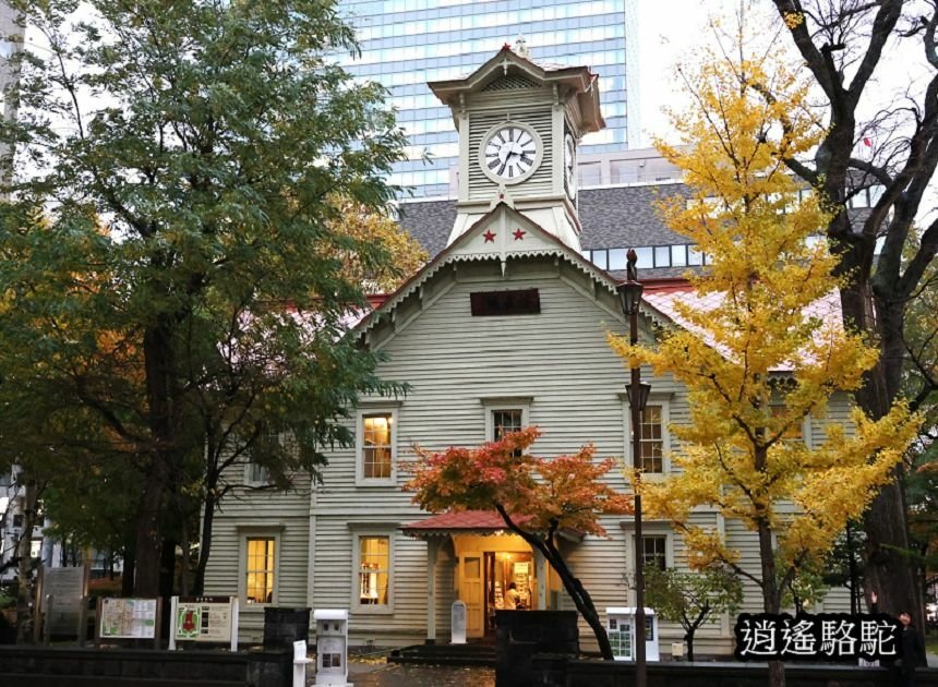 寒雨中的時計台-日本駱駝