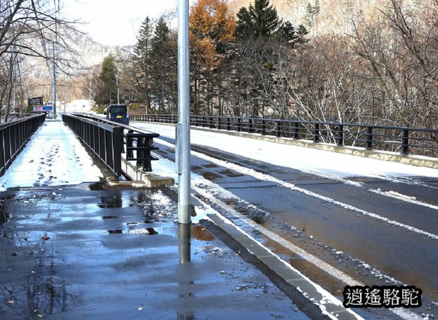 定山溪錦橋-日本駱駝