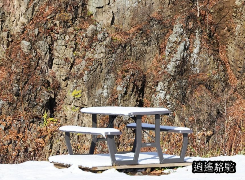 定山溪錦橋-日本駱駝