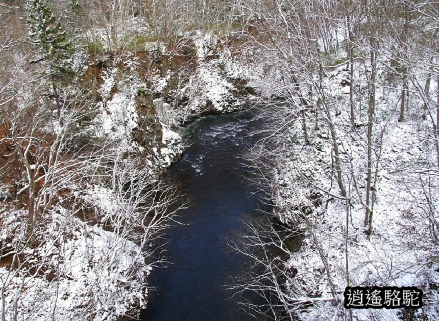 定山溪時雨橋-日本駱駝