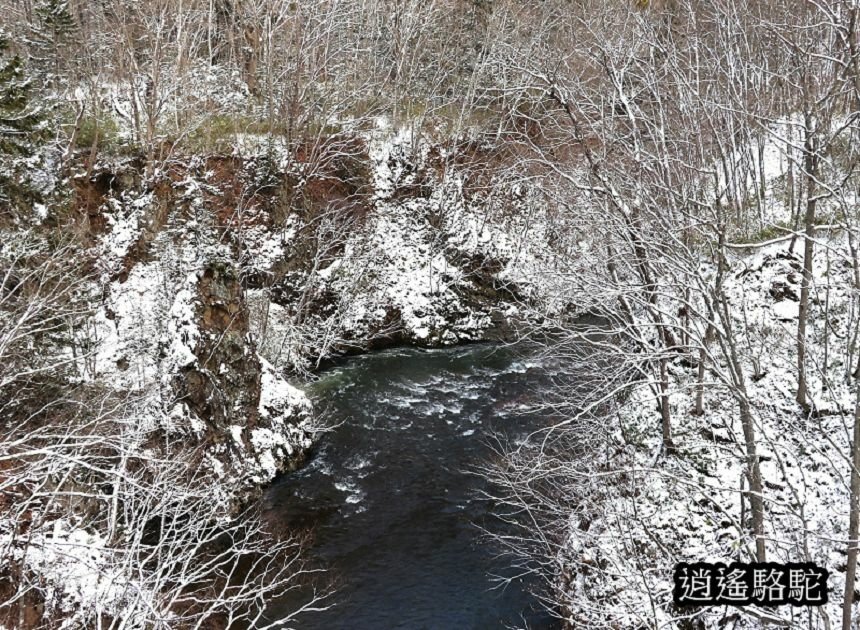 定山溪時雨橋-日本駱駝