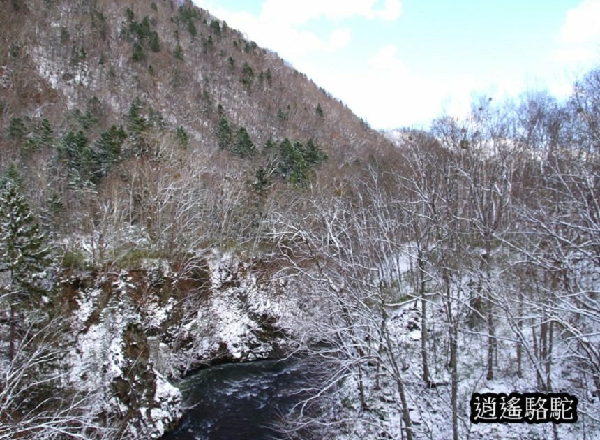 定山溪時雨橋-日本駱駝