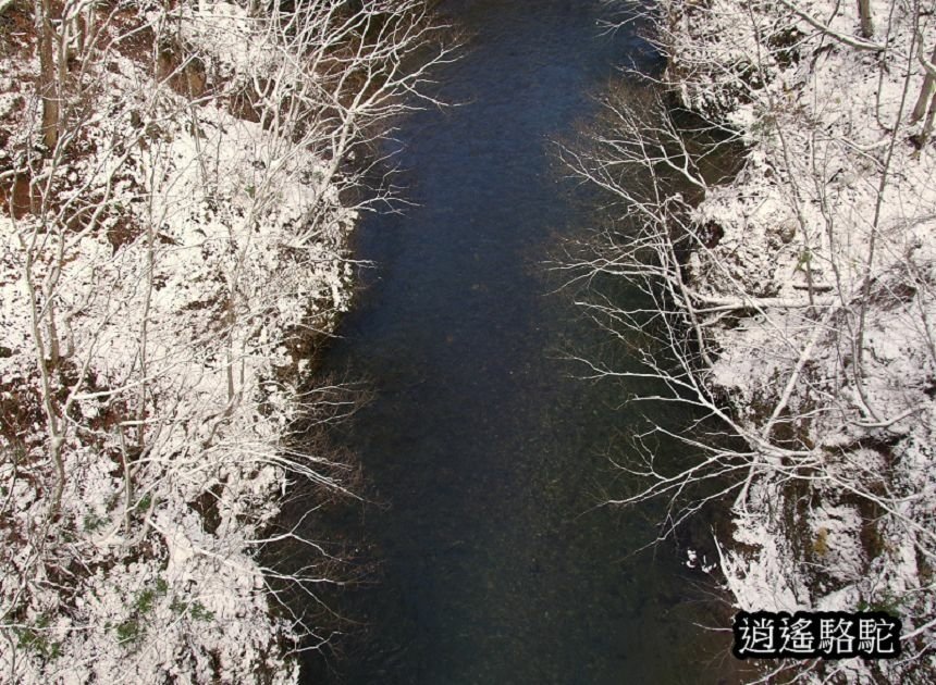 定山溪時雨橋-日本駱駝