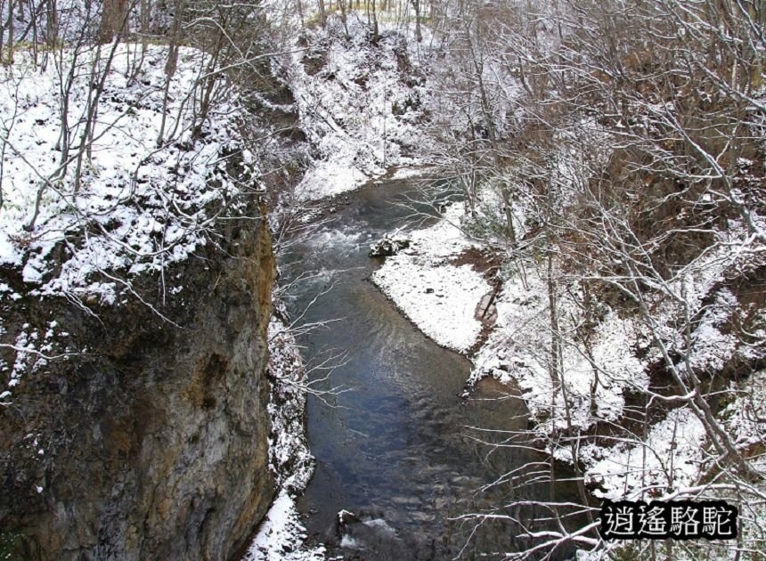 定山溪時雨橋-日本駱駝