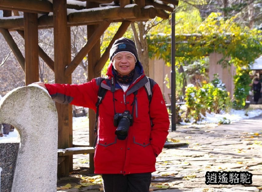 定山溪二見公園-日本駱駝