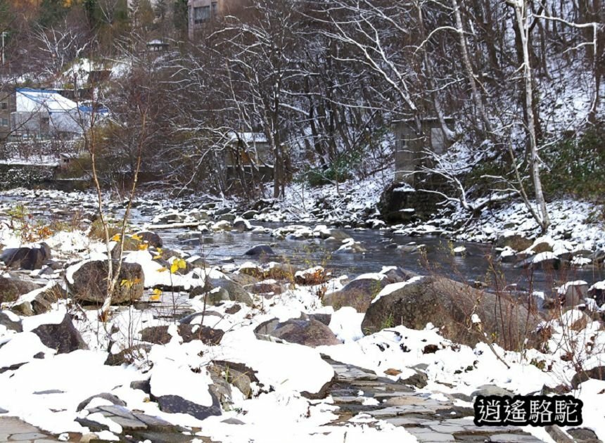 定山溪二見公園-日本駱駝