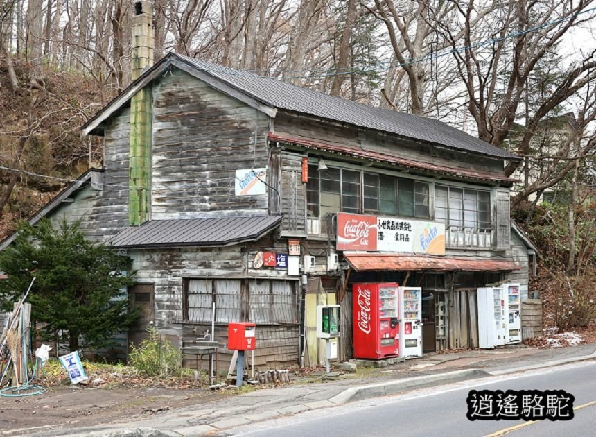 真駒內車站前楓紅層層-日本駱駝