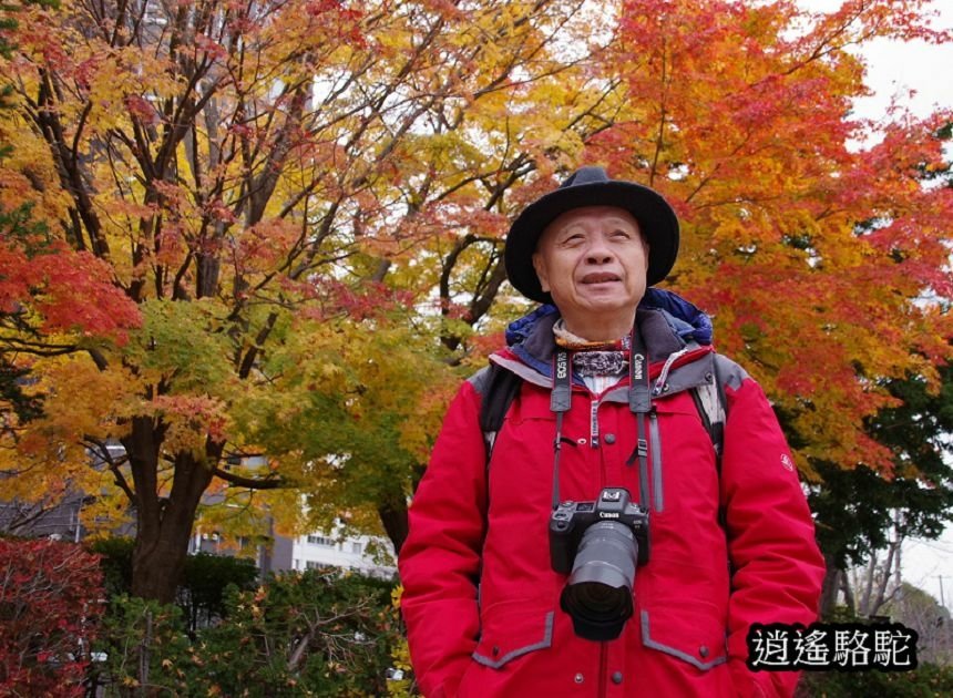 真駒內車站前楓紅層層-日本駱駝