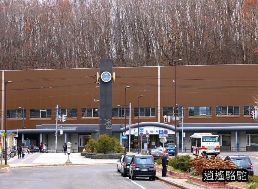 真駒內車站前楓紅層層-日本駱駝