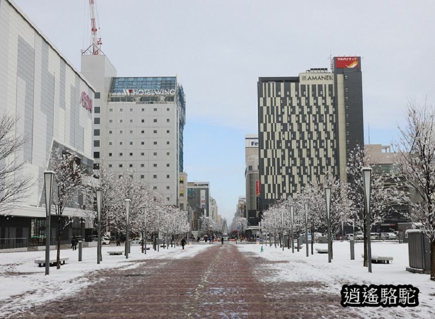 深秋的旭川車站大雪-日本駱駝