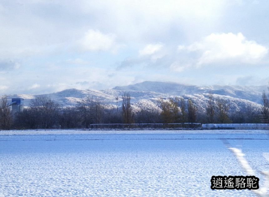 深秋的旭川車站大雪-日本駱駝