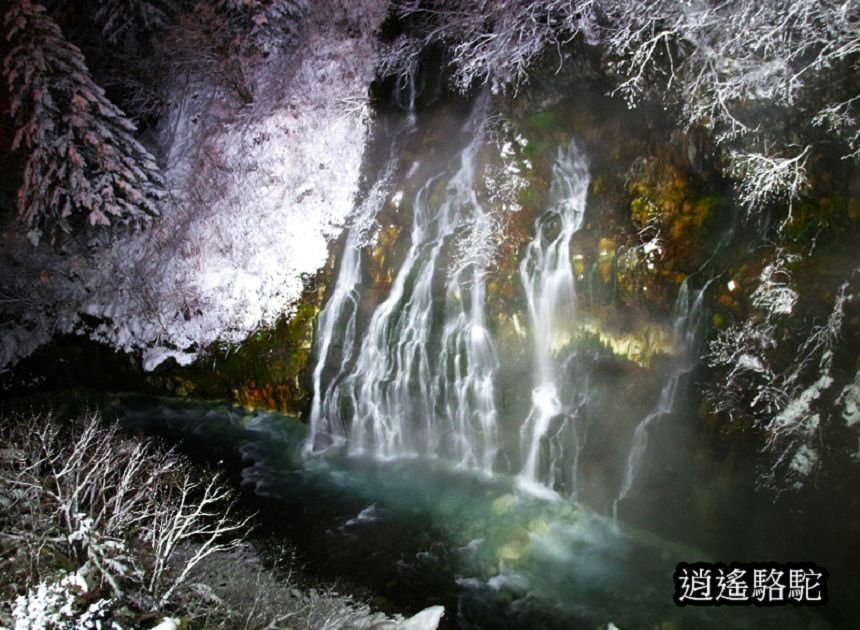 白鬚瀑布夜間點燈-日本駱駝