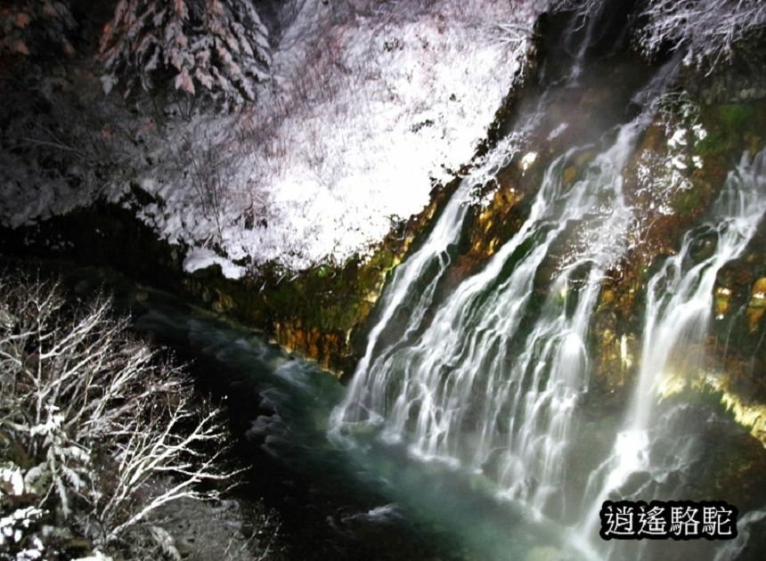 白鬚瀑布夜間點燈-日本駱駝