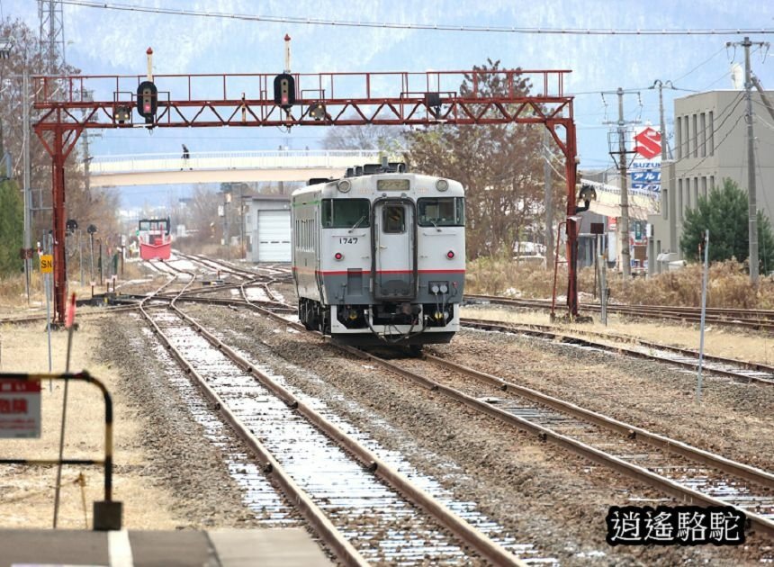 富良野車站-日本駱駝