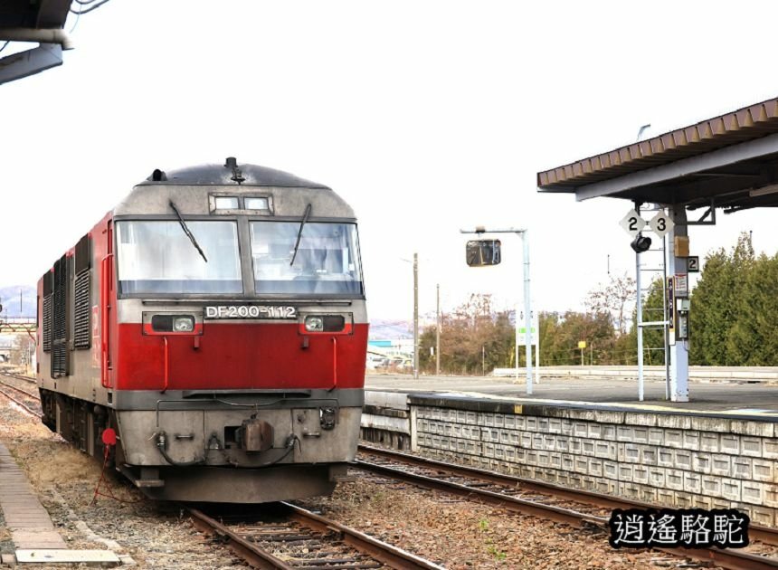 富良野車站-日本駱駝