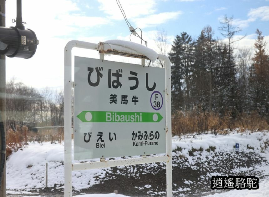 富良野車站-日本駱駝