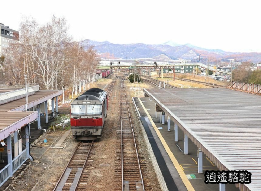 富良野車站-日本駱駝