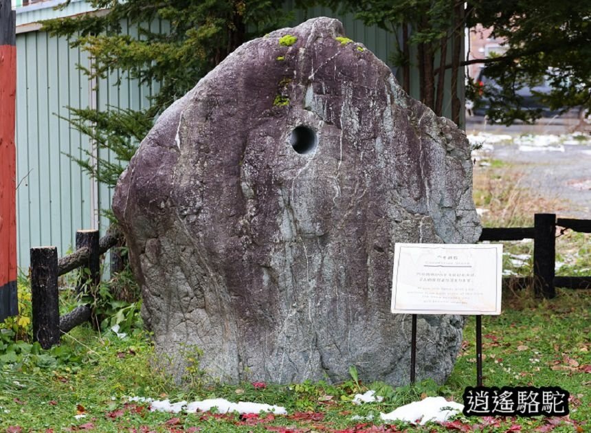 肚臍神社(北真神社)-日本駱駝