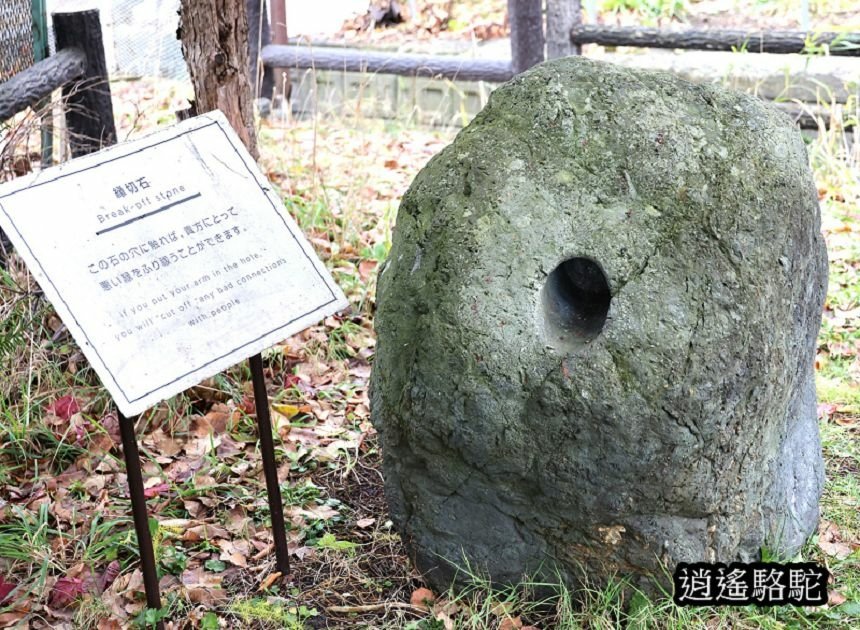 肚臍神社(北真神社)-日本駱駝