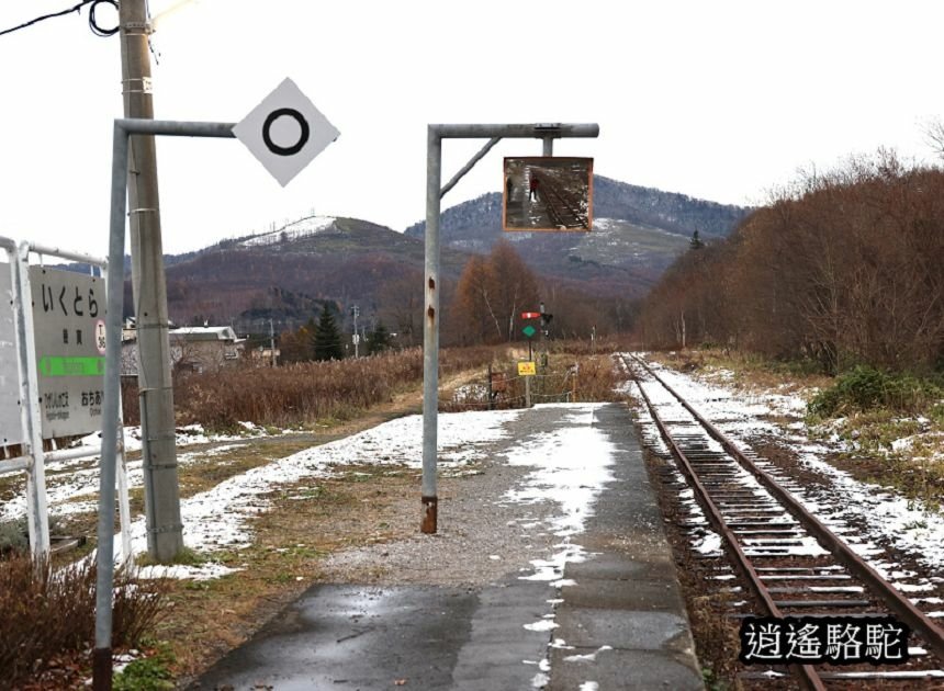 幌舞站(鐵道員)-日本駱駝