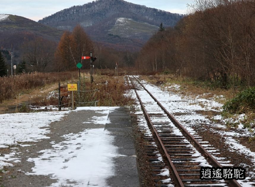 幌舞站(鐵道員)-日本駱駝