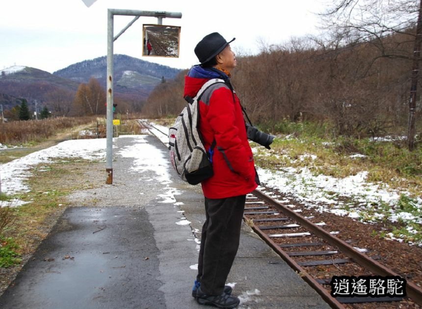 幌舞車站月台的寫真-日本駱駝