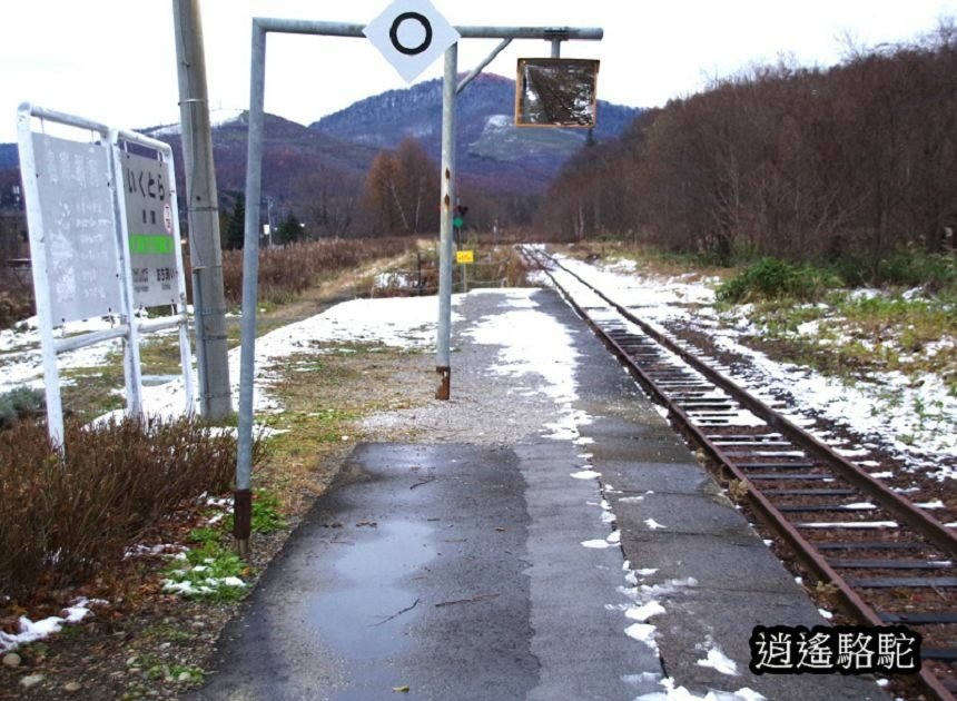 幌舞車站月台的寫真-日本駱駝