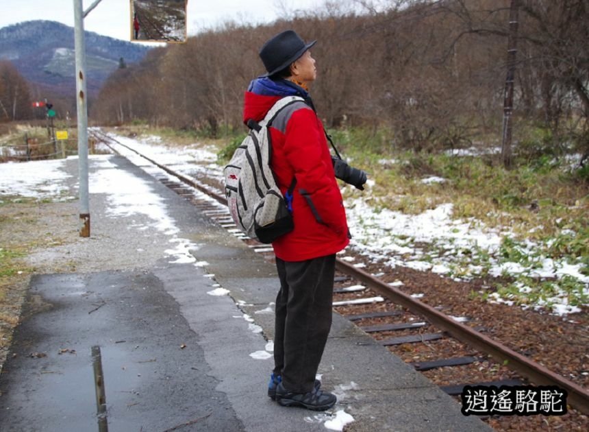 幌舞車站月台的寫真-日本駱駝