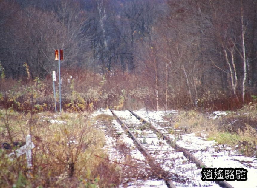 幌舞車站月台的寫真-日本駱駝