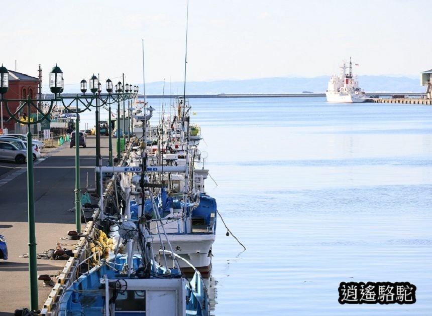 幣舞橋-日本駱駝