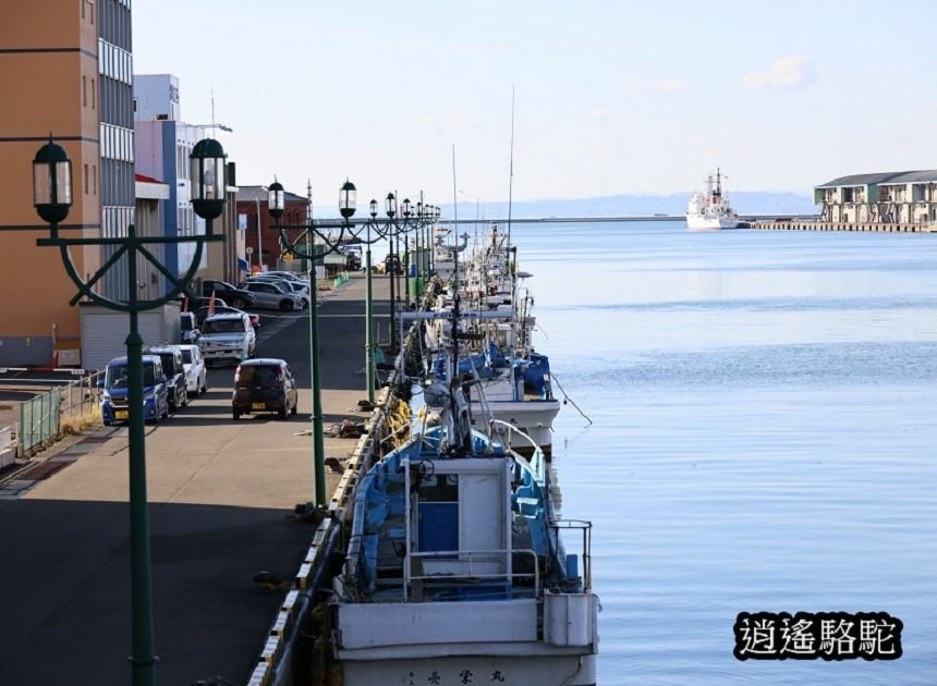 幣舞橋-日本駱駝