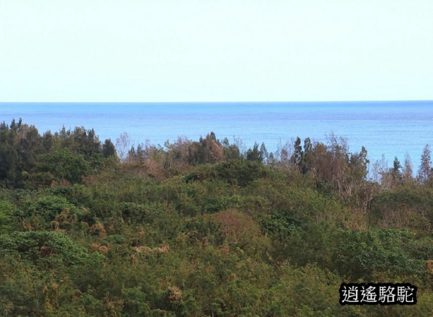 煙波花蓮太魯閣沁海館-新城駱駝