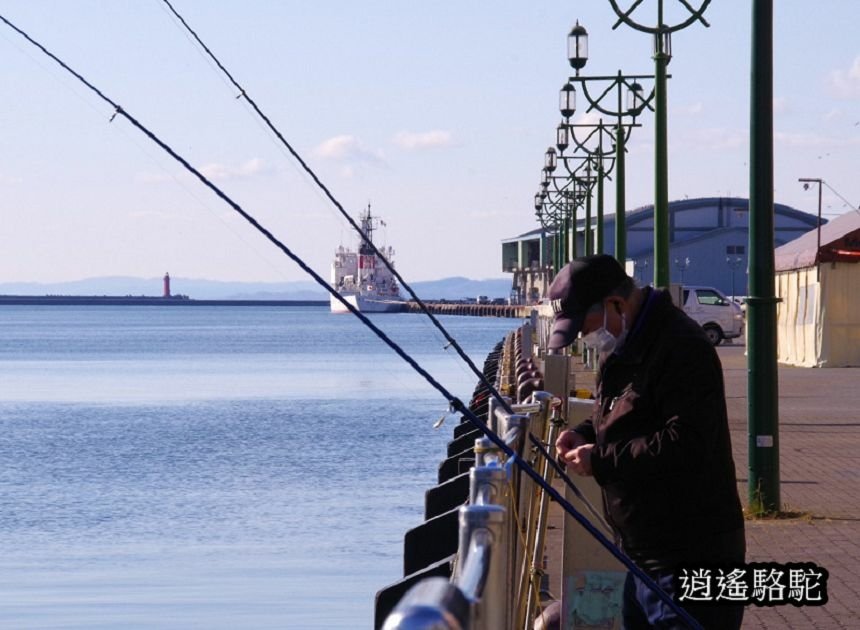 釧路川幣舞橋-日本駱駝