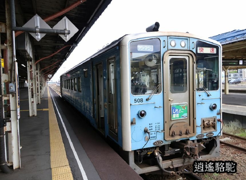 釧路溼原車站-日本駱駝