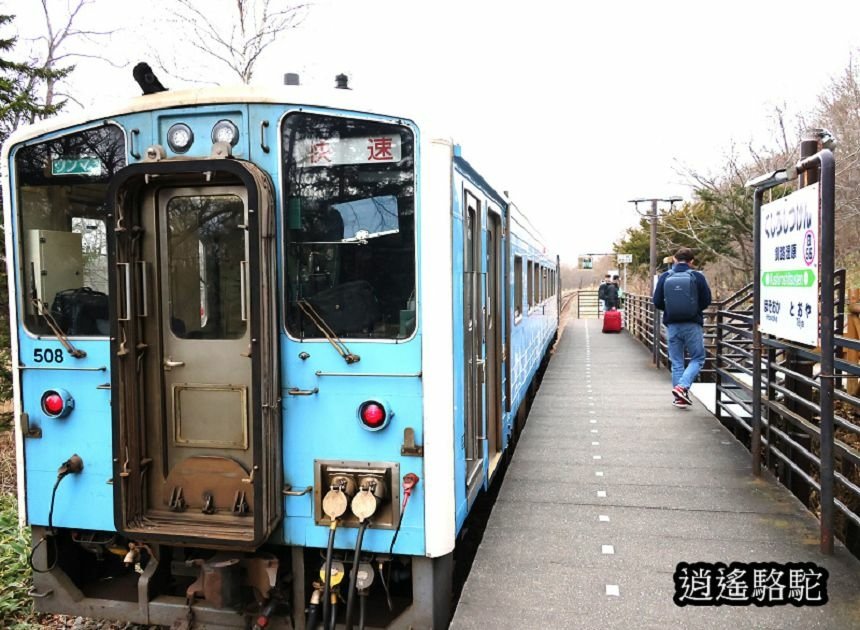 釧路溼原車站-日本駱駝