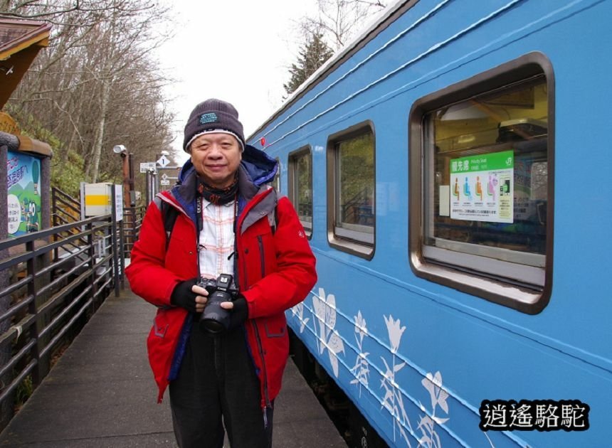 釧路溼原車站-日本駱駝