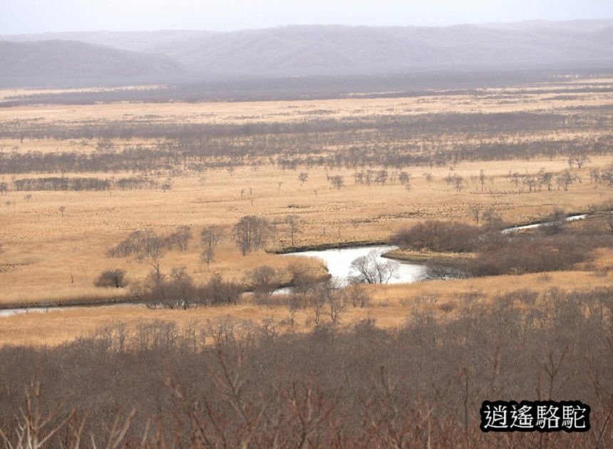 細岡展望台-日本駱駝