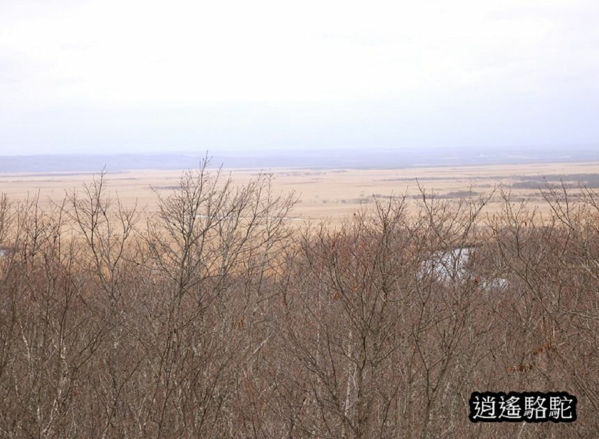 細岡展望台-日本駱駝