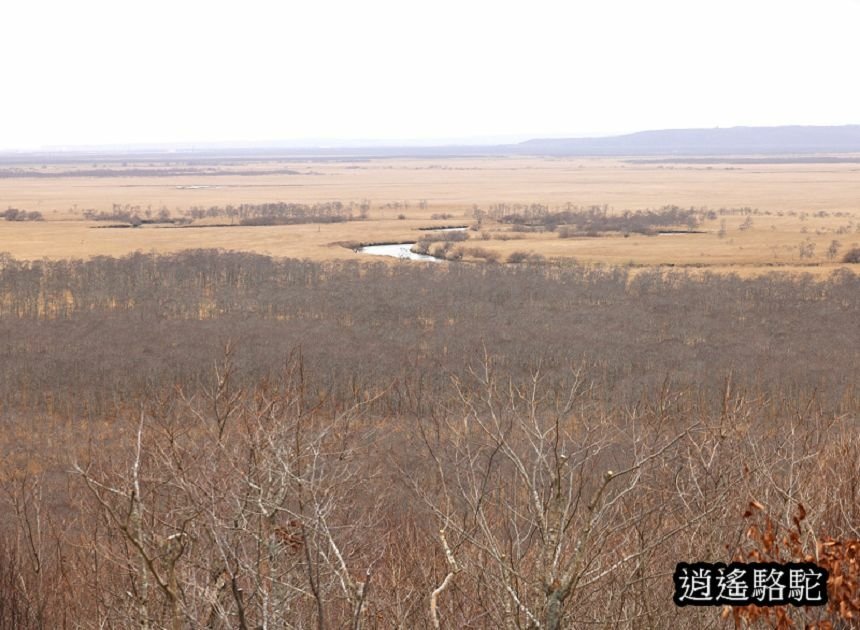 細岡展望台-日本駱駝