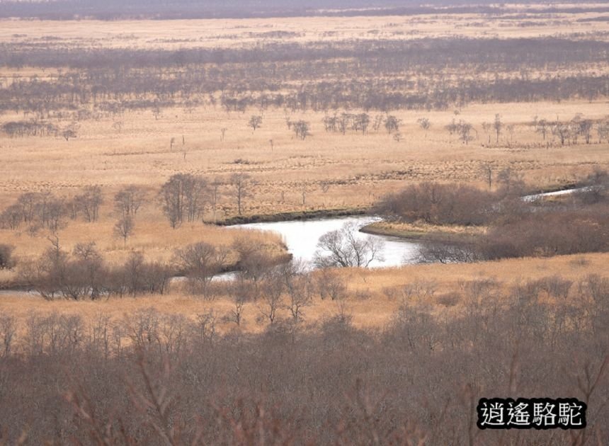 細岡展望台-日本駱駝