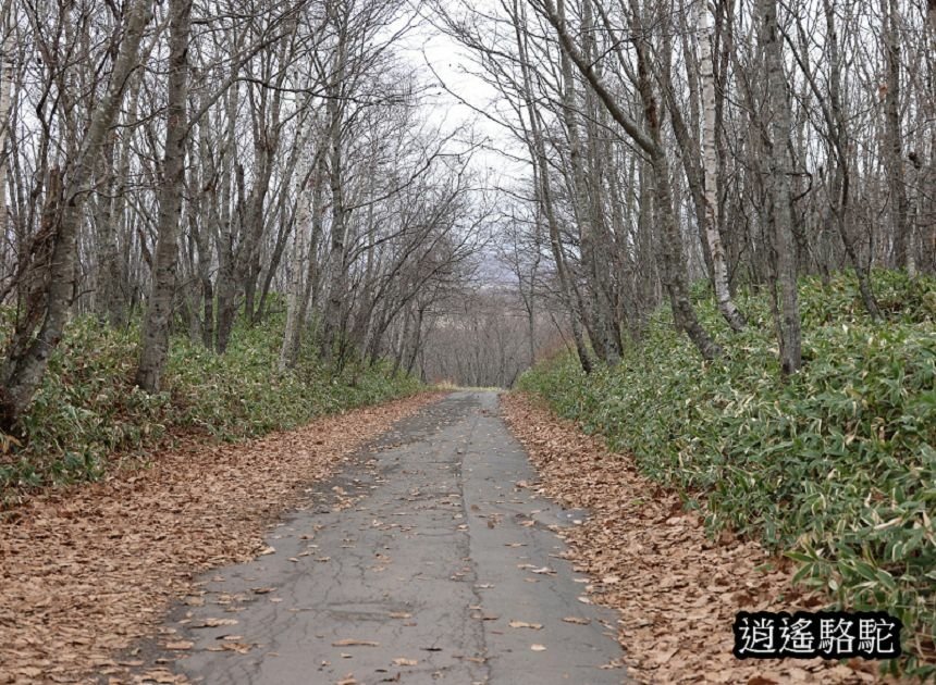 細岡展望台-日本駱駝