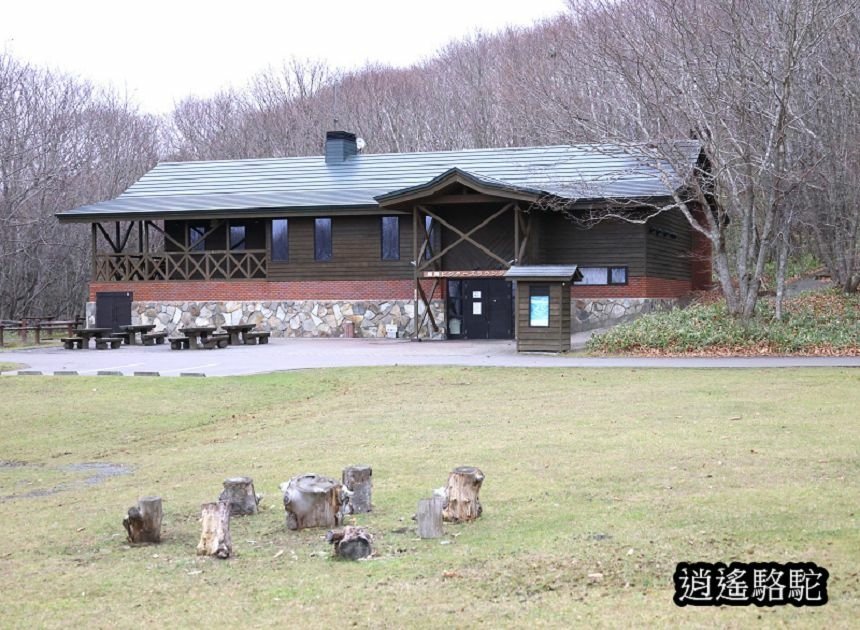 細岡旅客休息區-日本駱駝