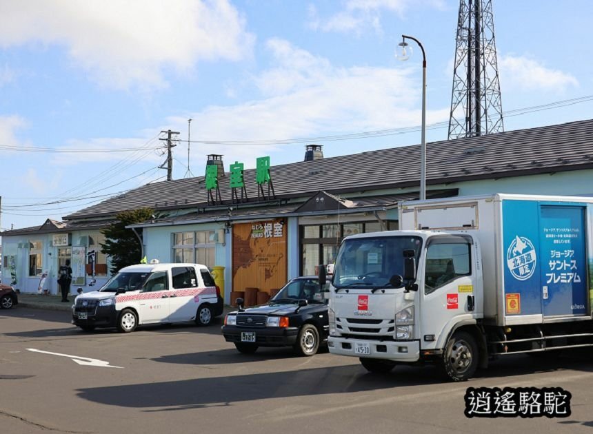 根室車站-日本駱駝