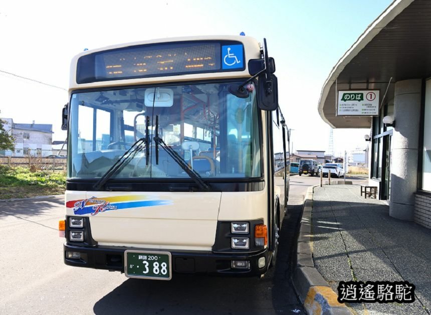 根室車站-日本駱駝