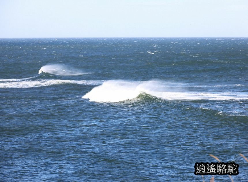 納沙布岬燈塔-日本駱駝