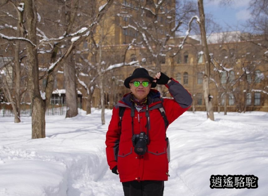 北海道大學三月天寫真-日本駱駝