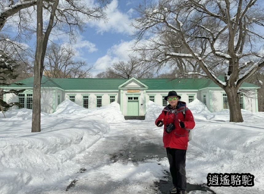 北海道大學三月天寫真-日本駱駝